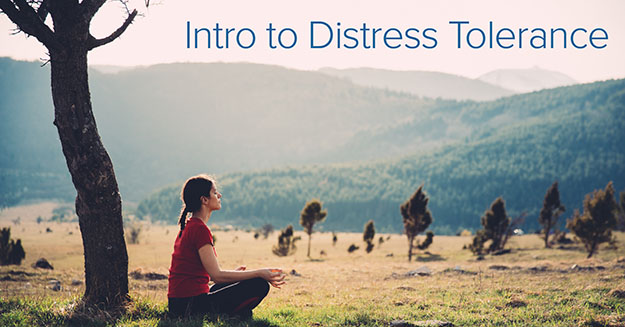 Picture of a woman sitting beneath a tree looking at a peaceful mountain meadow with the words Intro to Distress Tolerance above her.