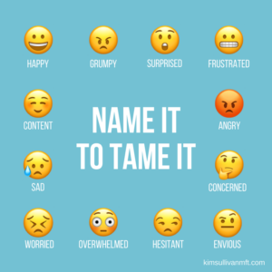 A picture of different emoticons that represent different emotions: happy, grumpy, surprised, frustrated, angry, concerned, envious, hesitant, overwhelmed, worried, sad, and content with the words Name It To Tame it.