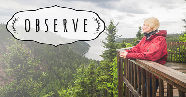 A woman standing on a deck peacefully overlooking the forest with the word observe.